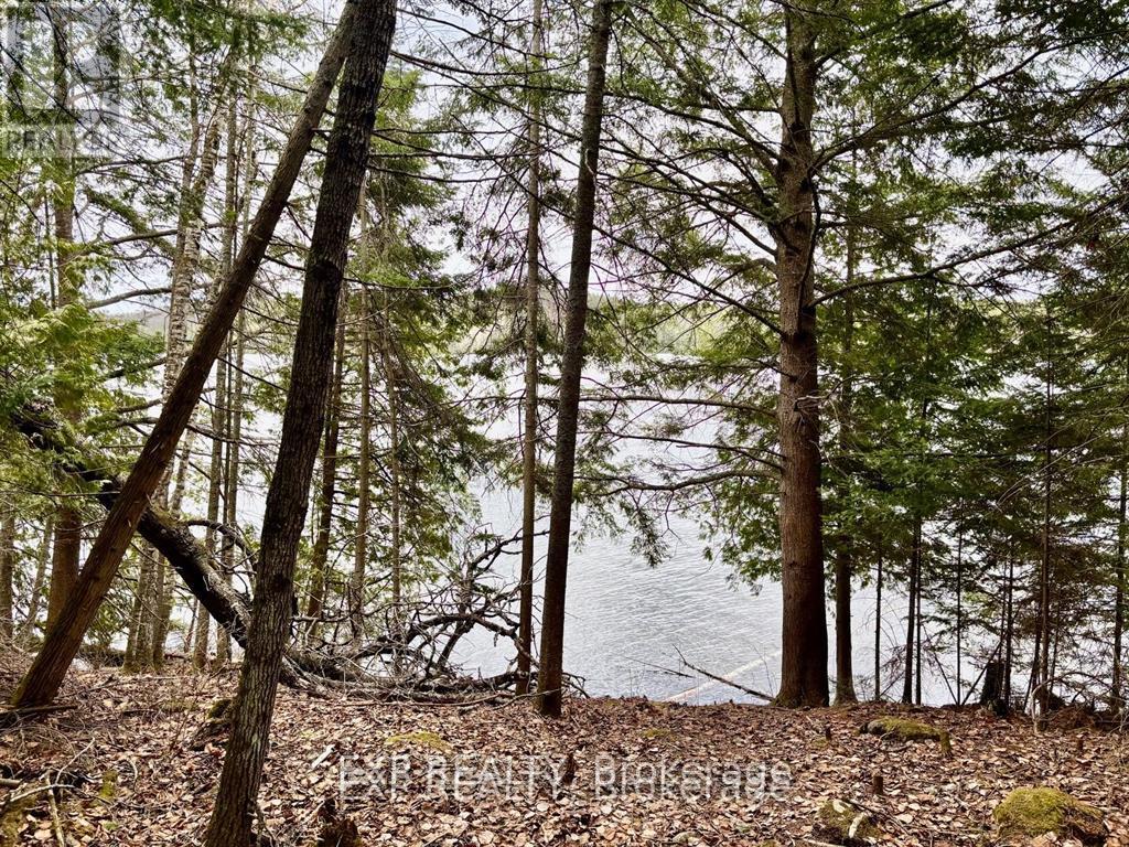 B Lot Arbor Vitae Road, Madawaska Valley, Ontario  K0J 1B0 - Photo 2 - X13471200