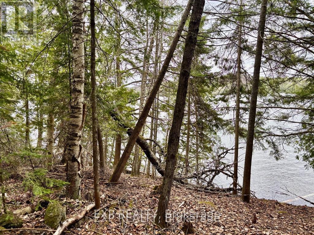 B Lot Arbor Vitae Road, Madawaska Valley, Ontario  K0J 1B0 - Photo 20 - X13471200