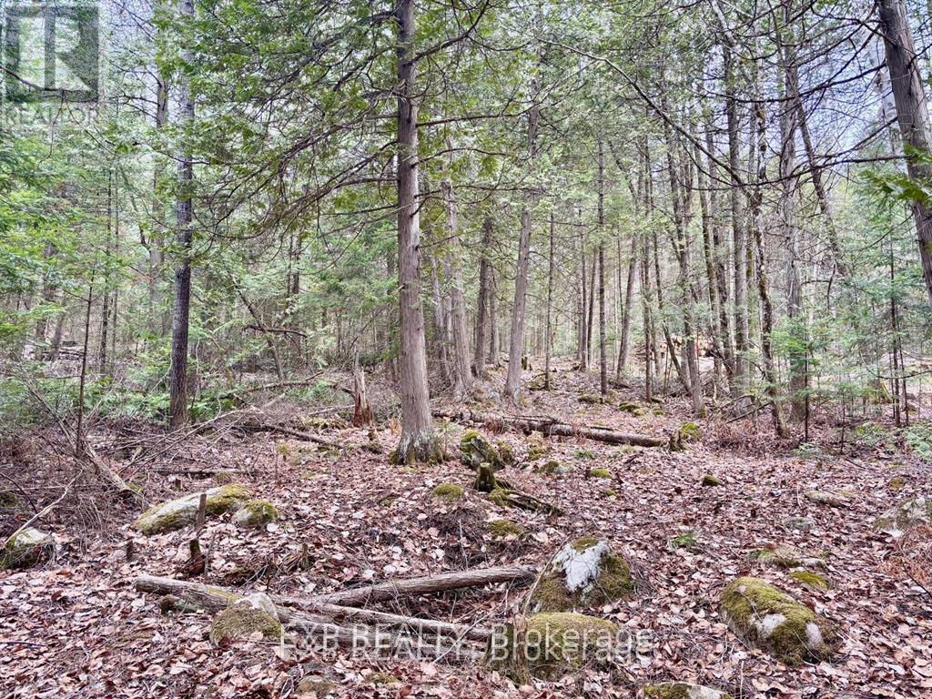 B Lot Arbor Vitae Road, Madawaska Valley, Ontario  K0J 1B0 - Photo 21 - X13471200
