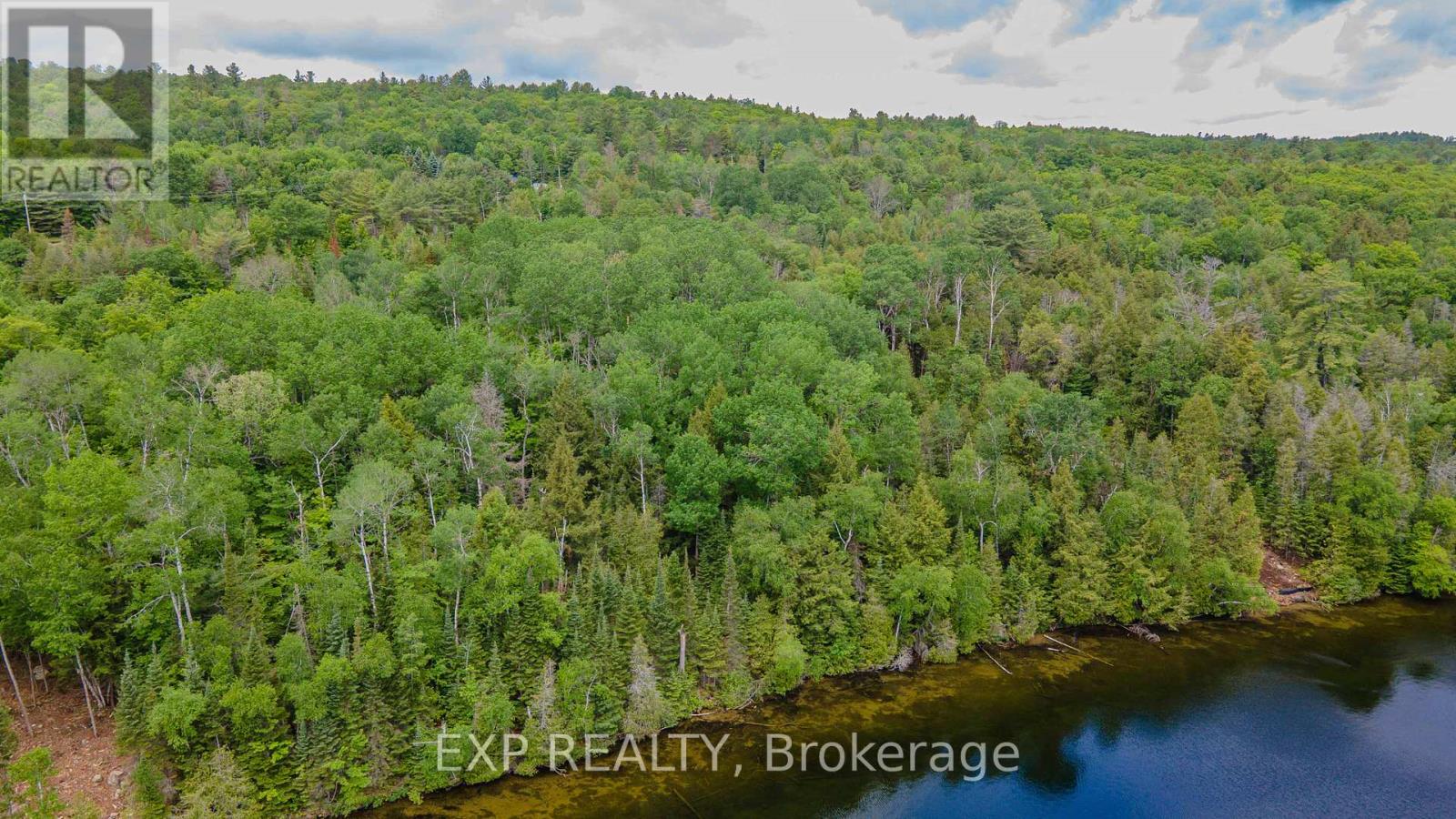 B Lot Arbor Vitae Road, Madawaska Valley, Ontario  K0J 1B0 - Photo 8 - X13471200