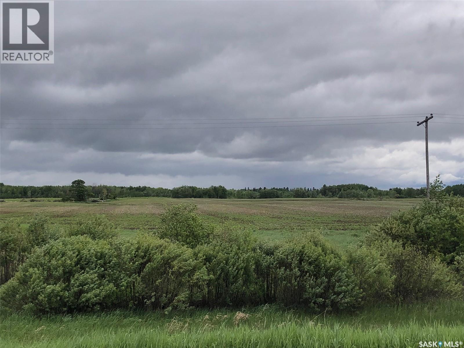 Neustaeter Farm, Preeceville Rm No. 334, Saskatchewan S0A 0A2 - Photo 13 - SK040182