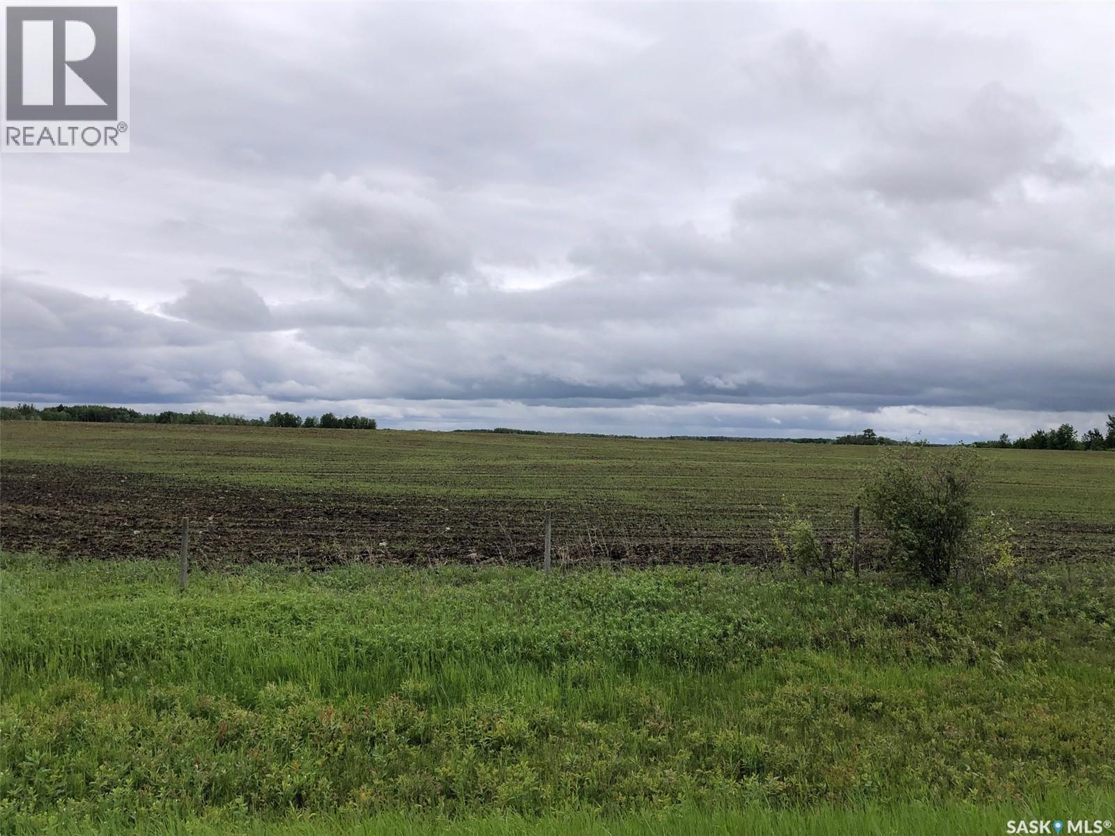 Neustaeter Farm, Preeceville Rm No. 334, Saskatchewan S0A 0A2 - Photo 15 - SK040182