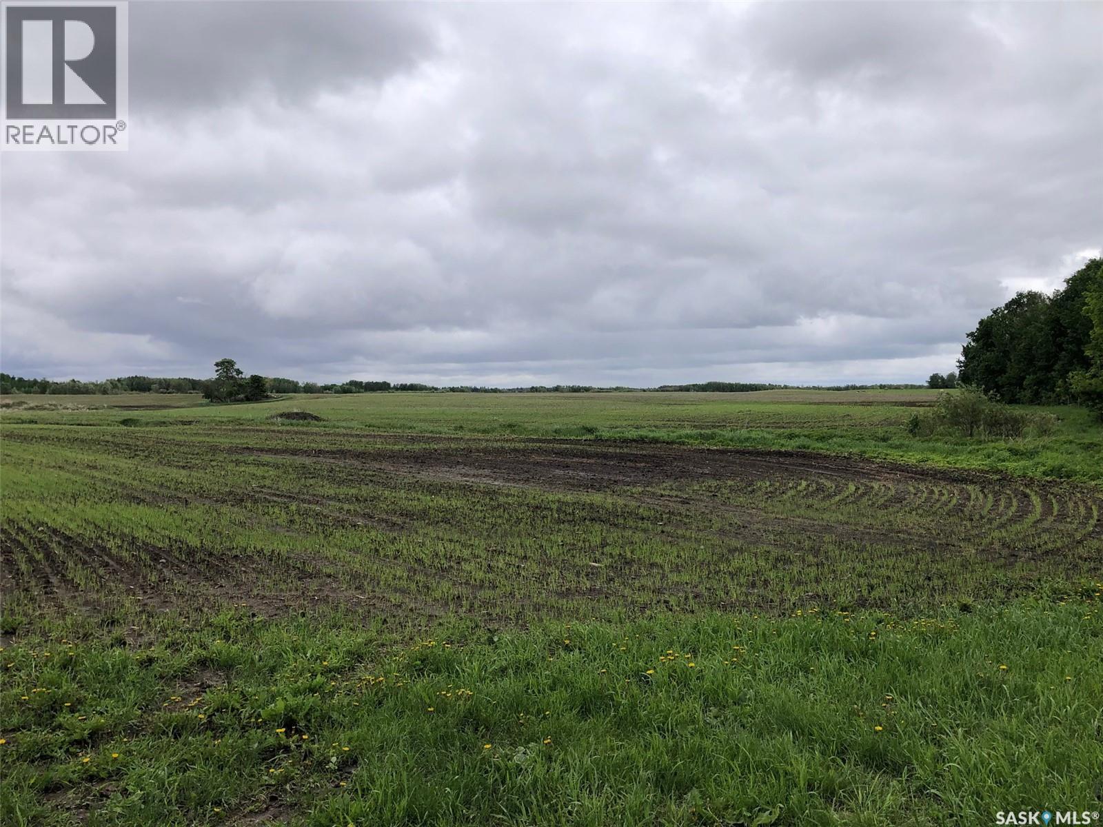 Neustaeter Farm, Preeceville Rm No. 334, Saskatchewan S0A 0A2 - Photo 18 - SK040182