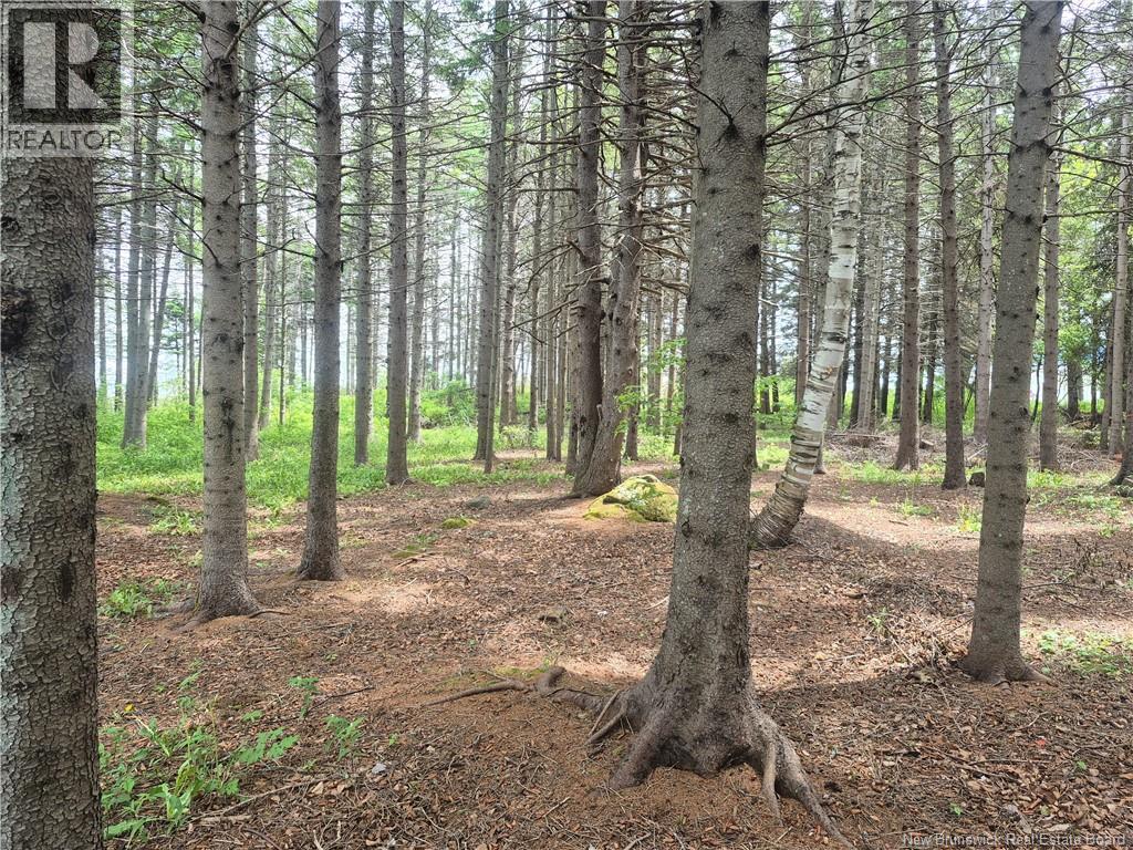 2.3 Acres Route 134, Petit-Rocher-Nord, New Brunswick  E8J 2E5 - Photo 2 - NB142125