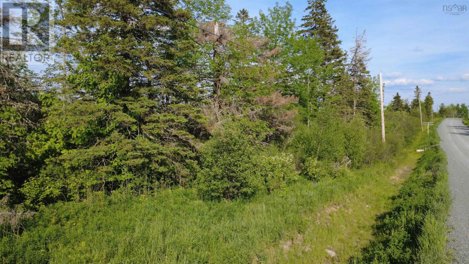 Lot Mackay Road, Millbrook, Nova Scotia  B0K 2A0 - Photo 7 - 202614590