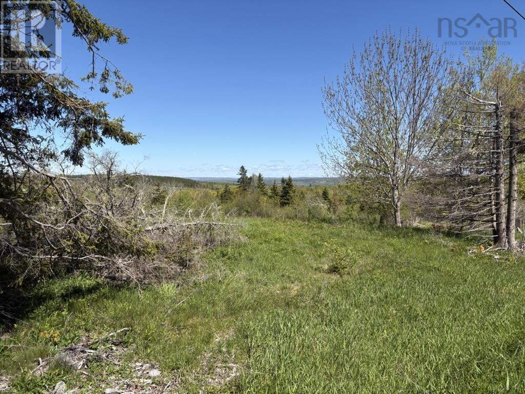 Lot Mackay Road, Millbrook, Nova Scotia  B0K 2A0 - Photo 3 - 202614590