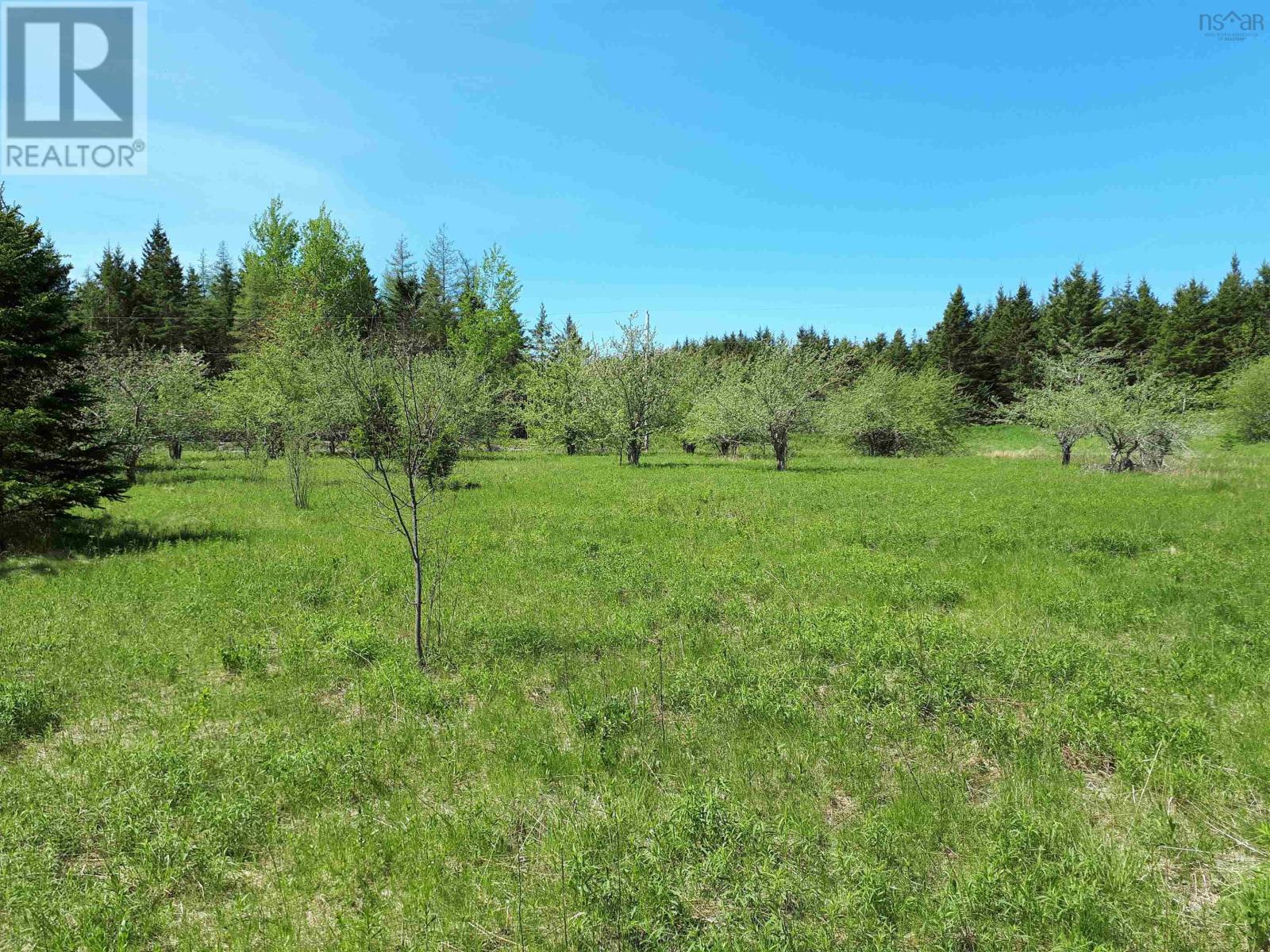 Lot Mackay Road, Millbrook, Nova Scotia  B0K 2A0 - Photo 11 - 202614590