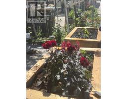 LOWER - 2823 ST CLAIR AVENUE E, Toronto, Ontario