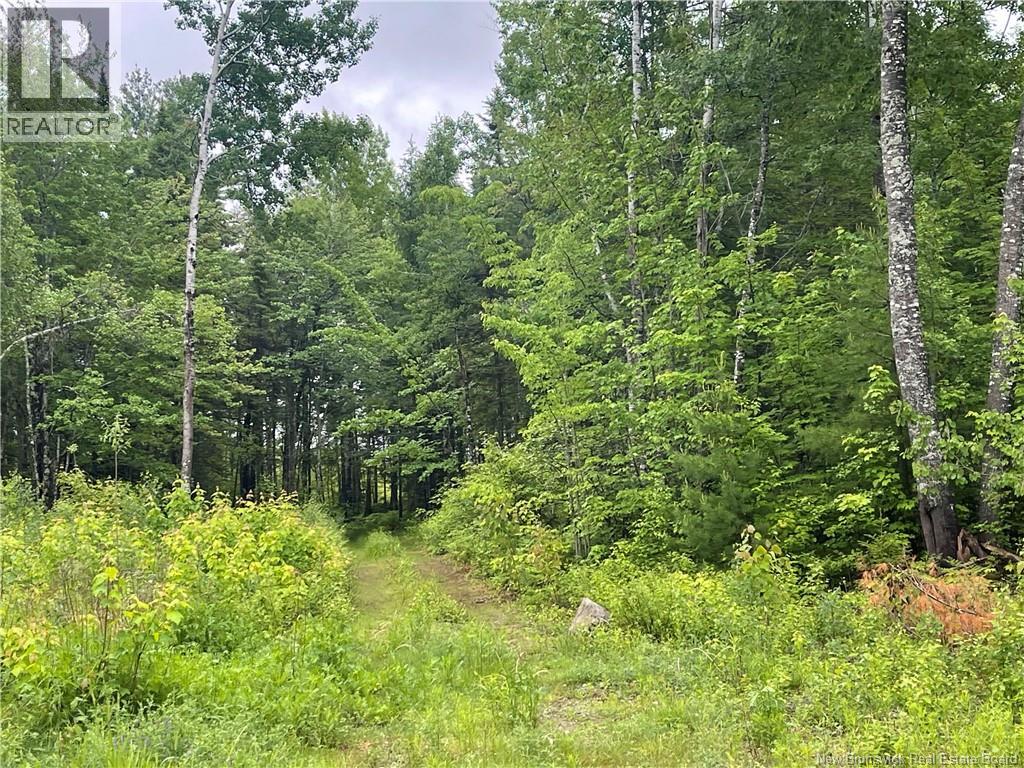 Lot Lutton Lane, Miramichi, New Brunswick  E1N 5Z9 - Photo 11 - NB142291