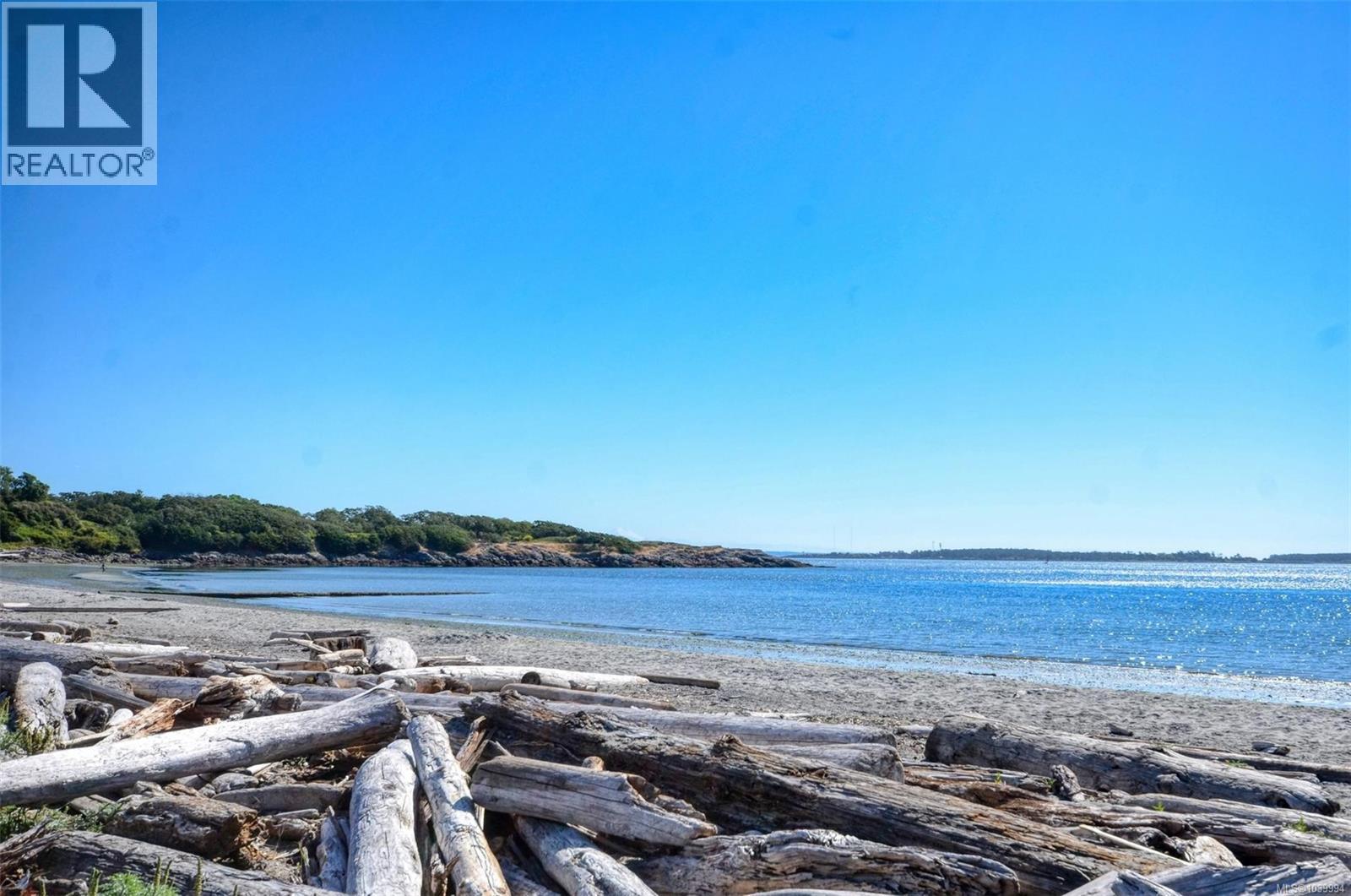 2331 Pacific Ave, Oak Bay, British Columbia  V8R 6V7 - Photo 40 - 1039994