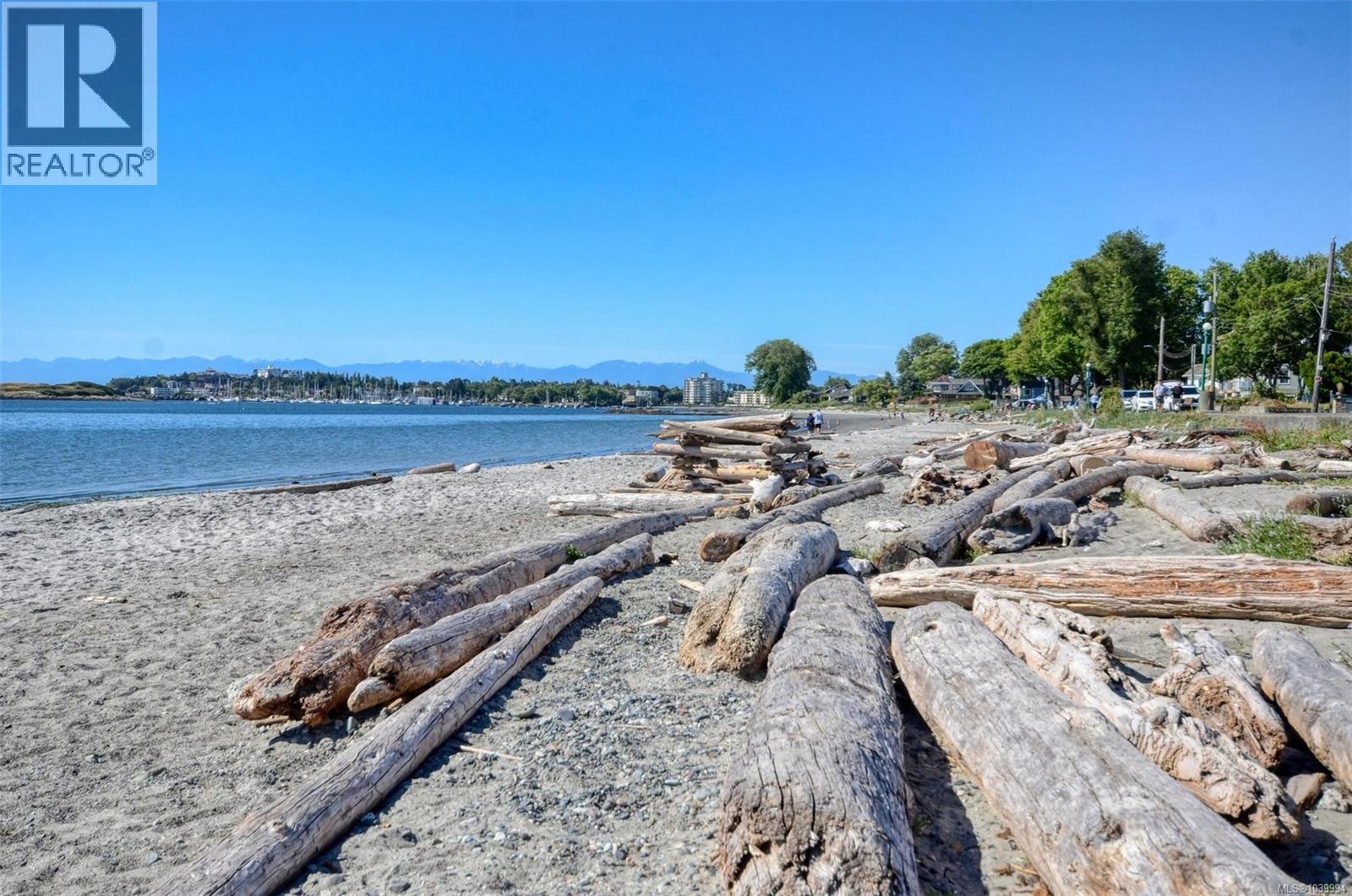 2331 Pacific Ave, Oak Bay, British Columbia  V8R 6V7 - Photo 41 - 1039994