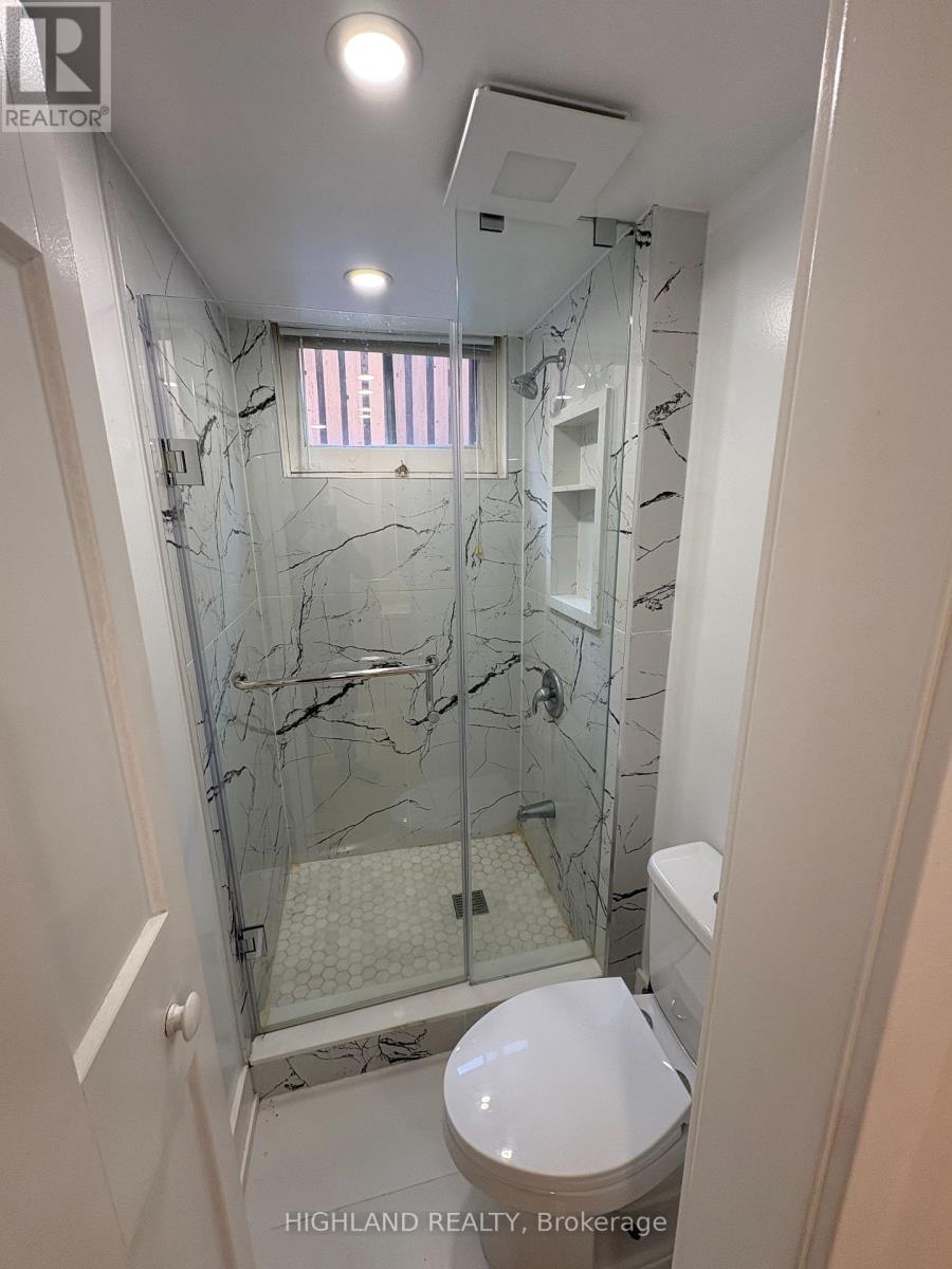 Basement - 167 Churchill Avenue, Toronto, Ontario  M2N 1Z3 - Photo 4 - C13086188