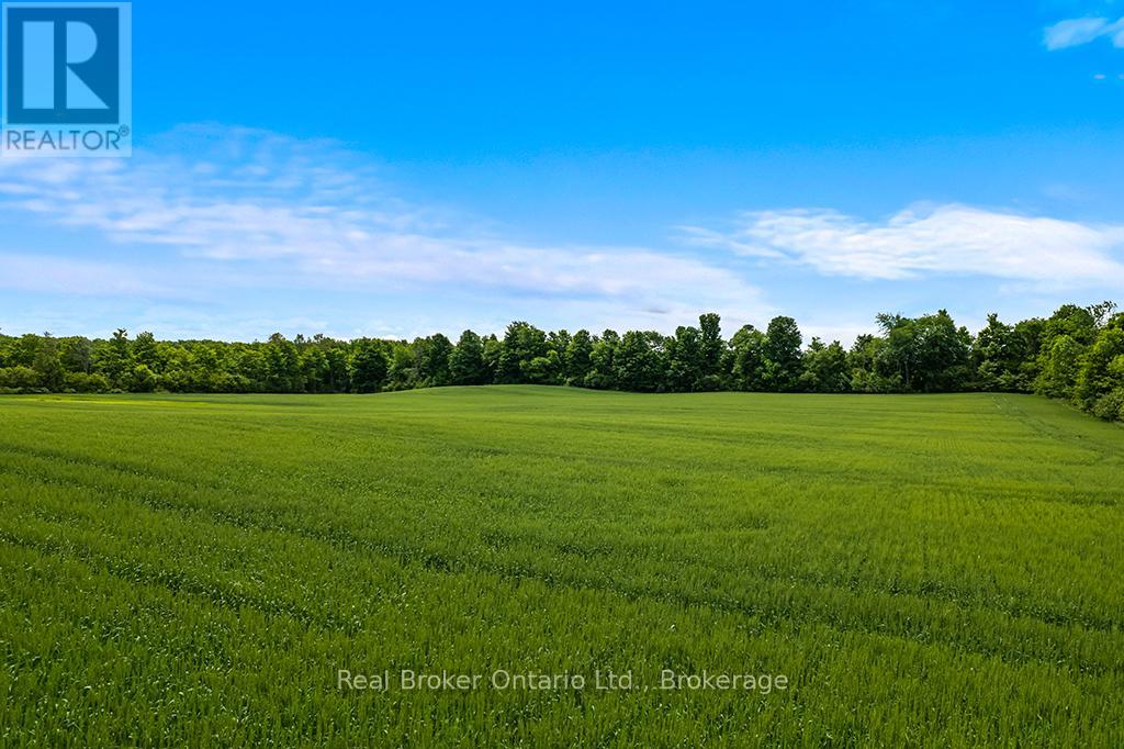 540031 80 Side Road, Chatsworth, Ontario N0C 1H0 - Photo 30 - X13469916
