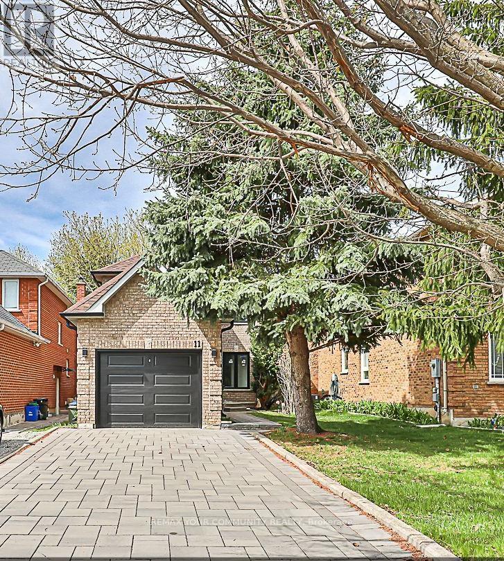 BASEMENT - 11 NEWMILL CRESCENT, Richmond Hill, Ontario