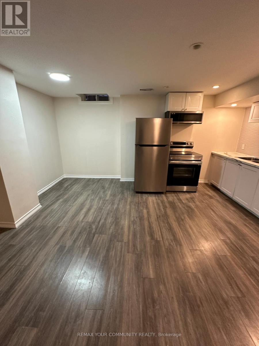 Bsmt - 25 Fitzwilliam Avenue, Richmond Hill, Ontario  L4E 4N8 - Photo 12 - N13471926