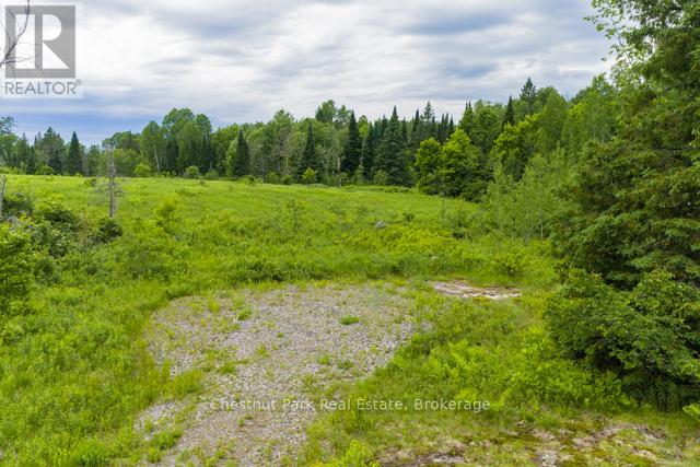 Lot 78 141 Highway, Seguin, Ontario  P0C 1J0 - Photo 12 - X13471966