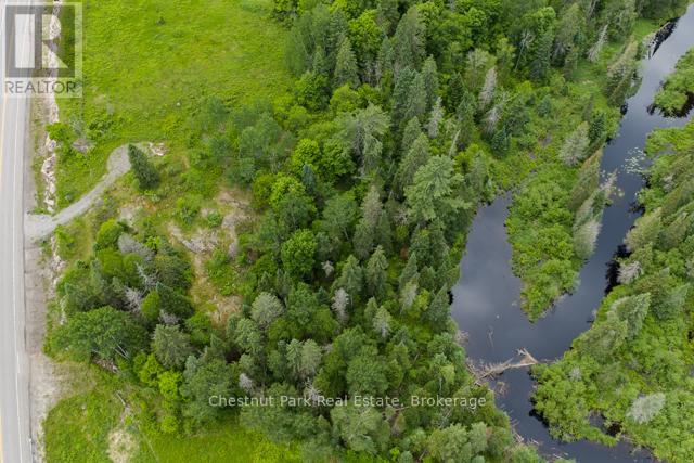 Lot 78 141 Highway, Seguin, Ontario  P0C 1J0 - Photo 21 - X13471966