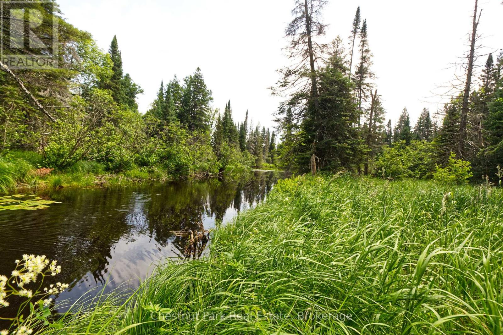 Lot 78 141 Highway, Seguin, Ontario  P0C 1J0 - Photo 4 - X13471966