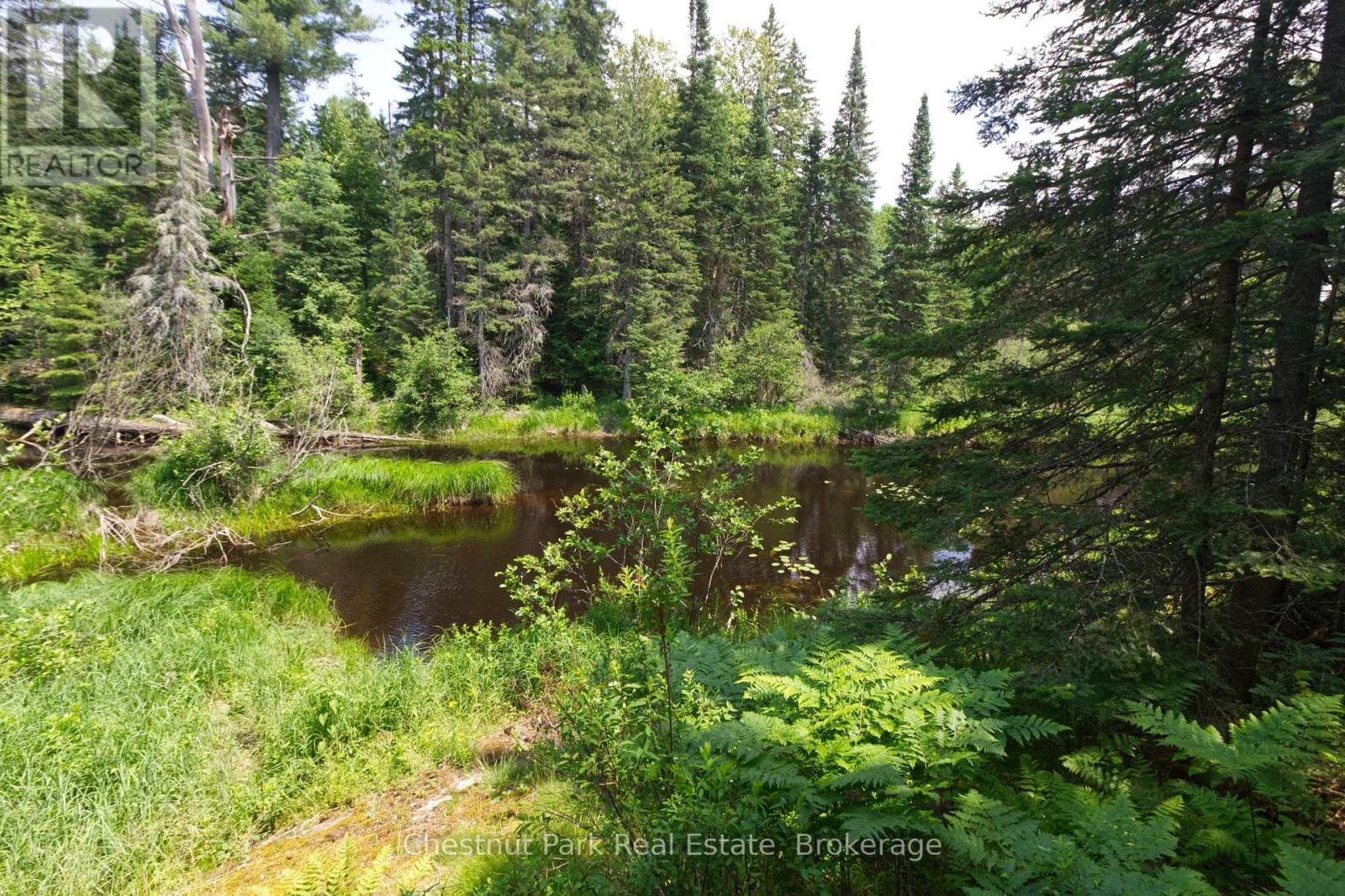 Lot 78 141 Highway, Seguin, Ontario  P0C 1J0 - Photo 7 - X13471966