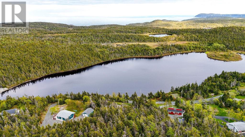 0 Lamanche Road, Lamanche, Newfoundland & Labrador  A0A 4A0 - Photo 9 - 1298923