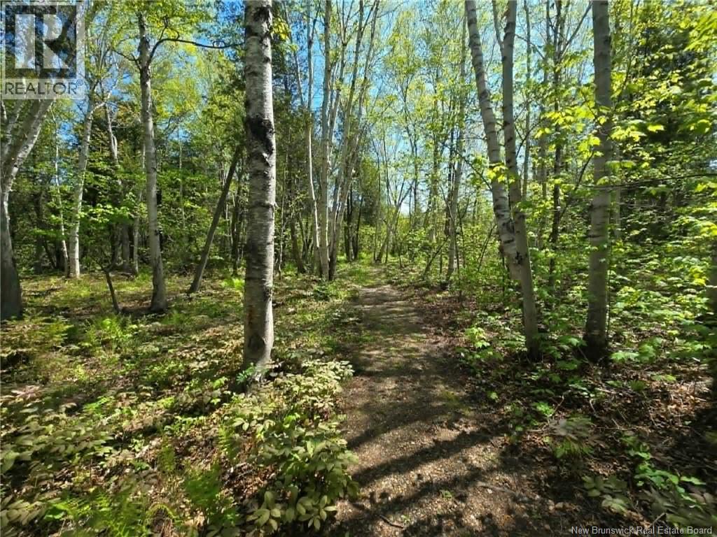 81 Principale, Pointe-Verte, New Brunswick  E8J 2W2 - Photo 13 - NB137235