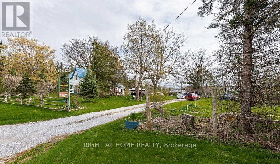 9291 Morning Glory Road, Georgina, Ontario  L0E 1N0 - Photo 5 - N13472254