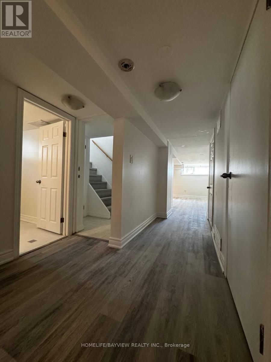Basement - 255 Penn Avenue, Newmarket, Ontario  L3Y 2S4 - Photo 6 - N12999260