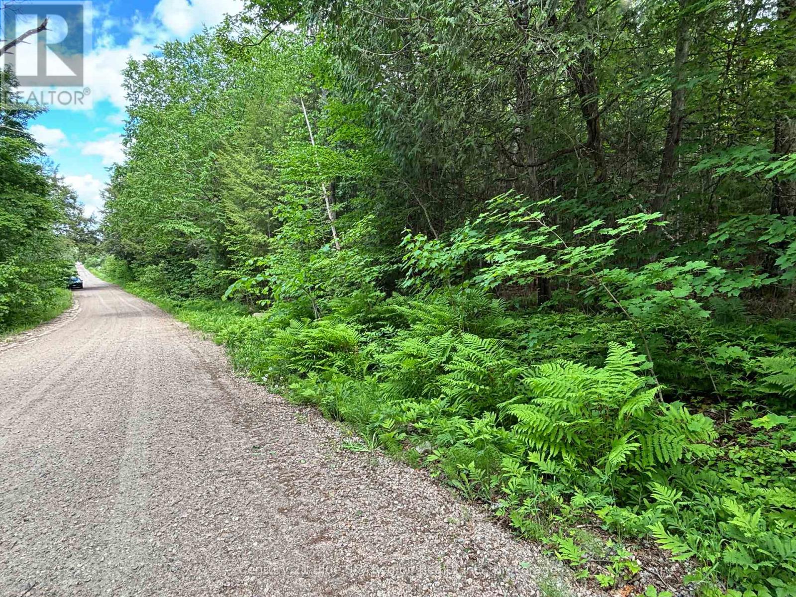 Lot 2 Latimer Lane, Calvin, Ontario  P0H 2E0 - Photo 5 - X13450796