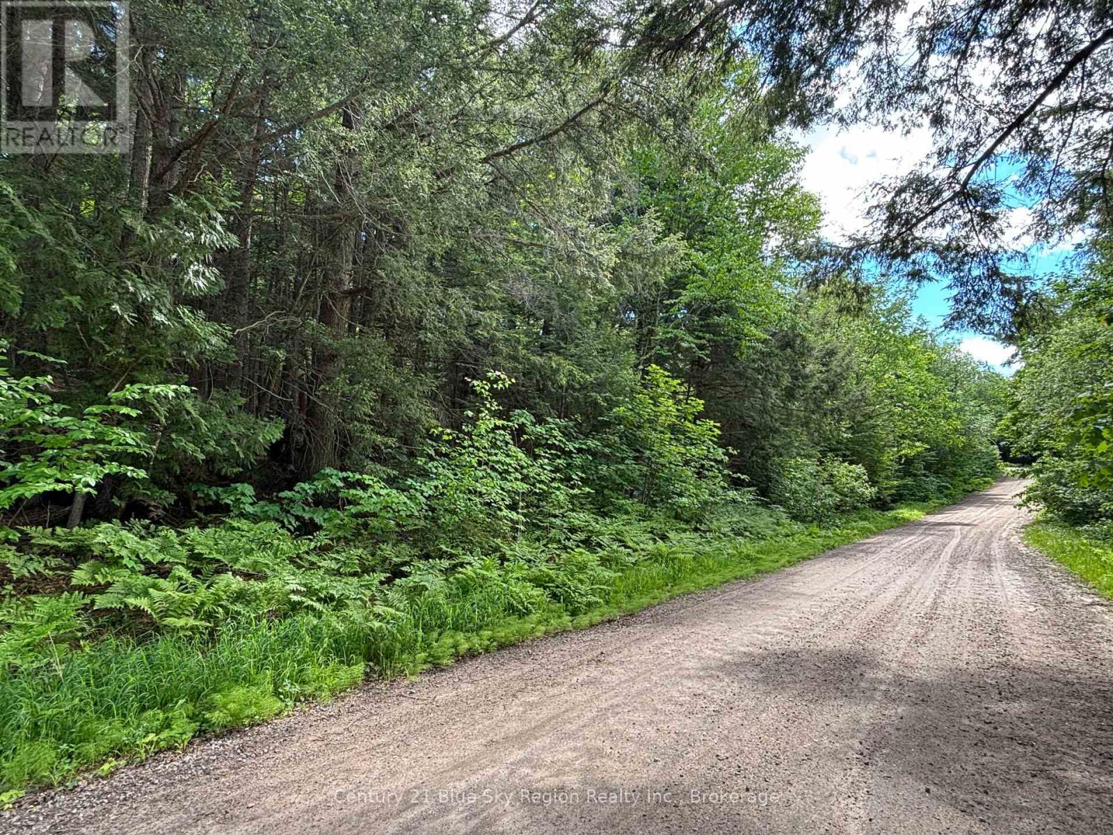 Lot 3 Latimer Lane, Calvin, Ontario  P0H 2E0 - Photo 4 - X13450804