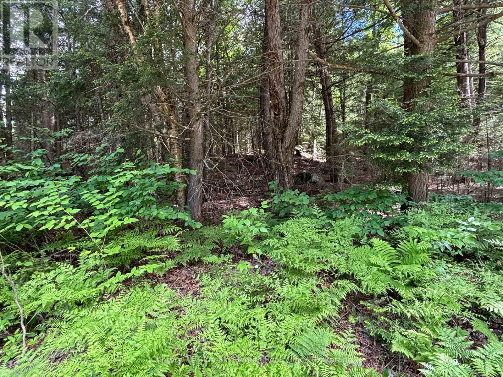 Lot 3 Latimer Lane, Calvin, Ontario  P0H 2E0 - Photo 6 - X13450804