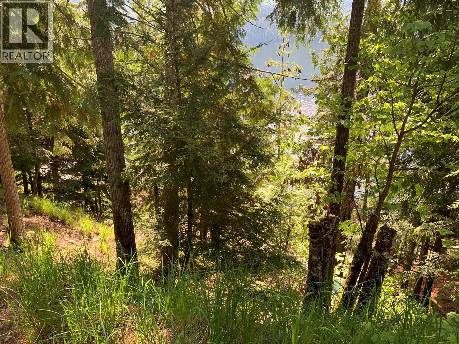 28 Simard Road, Mabel Lake, British Columbia  V0E 1V5 - Photo 28 - 10377603