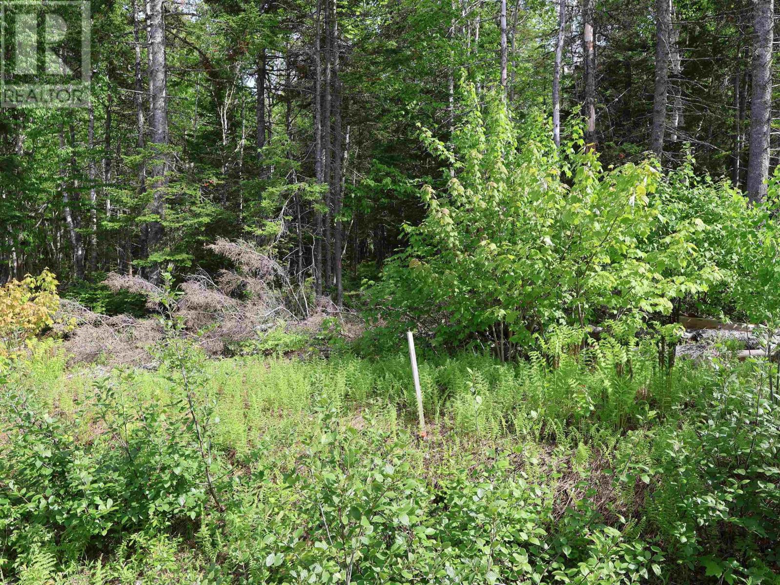 Lot 2, 3, 6 Leitches Creek Rd, Leitches Creek, Nova Scotia  B2A 4A5 - Photo 20 - 202615136