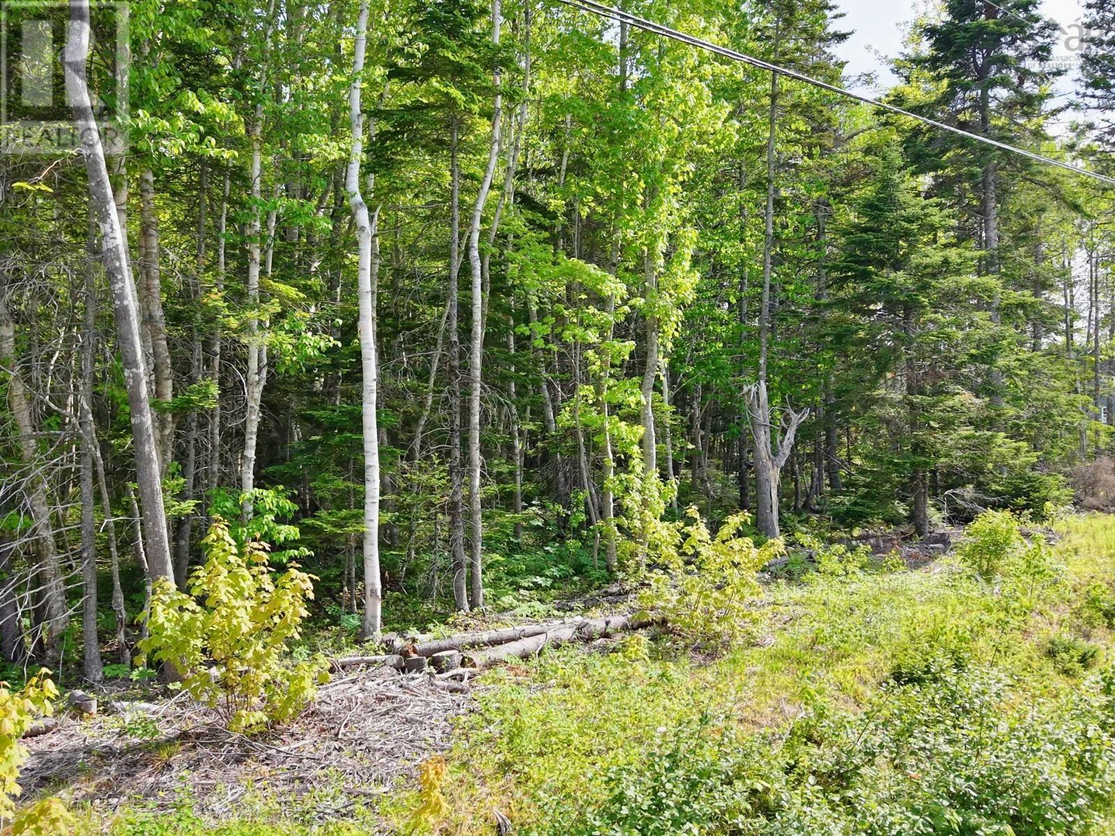 Lot 2, 3, 6 Leitches Creek Rd, Leitches Creek, Nova Scotia  B2A 4A5 - Photo 27 - 202615136