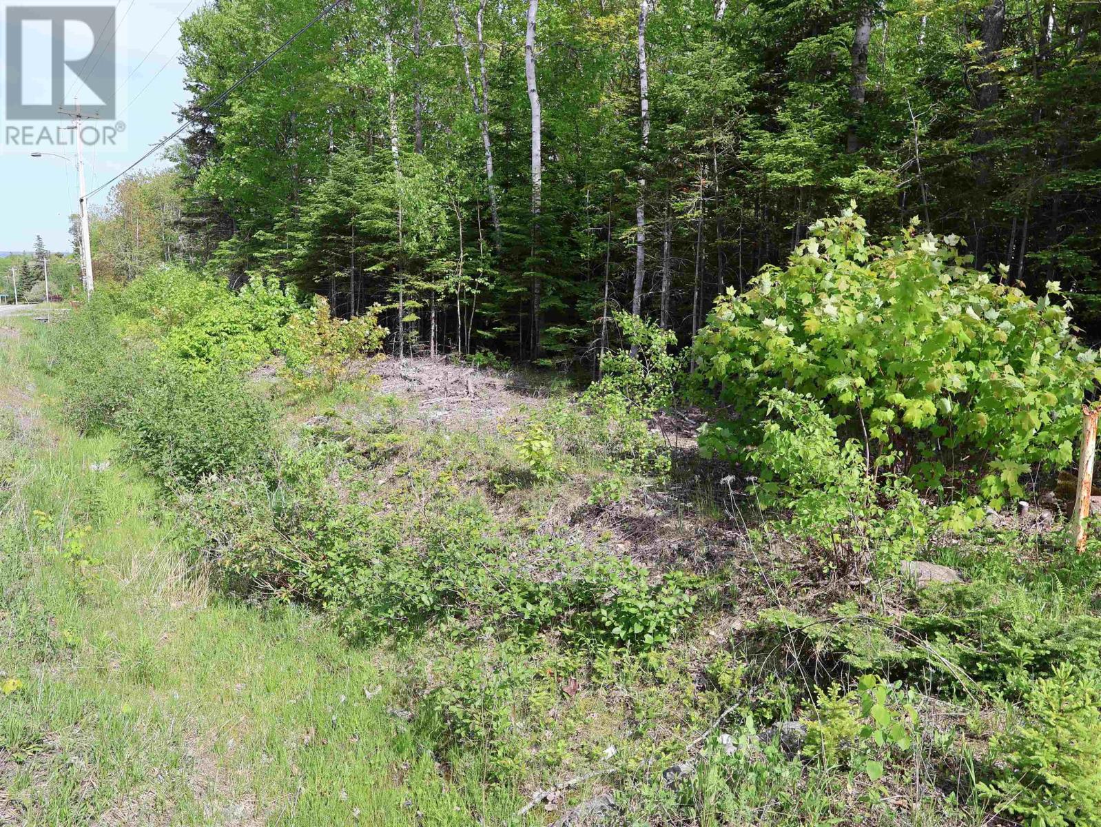 Lot 2, 3, 6 Leitches Creek Rd, Leitches Creek, Nova Scotia  B2A 4A5 - Photo 24 - 202615136