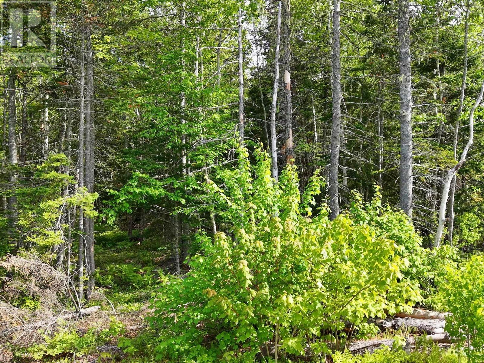 Lot 2, 3, 6 Leitches Creek Rd, Leitches Creek, Nova Scotia  B2A 4A5 - Photo 28 - 202615136