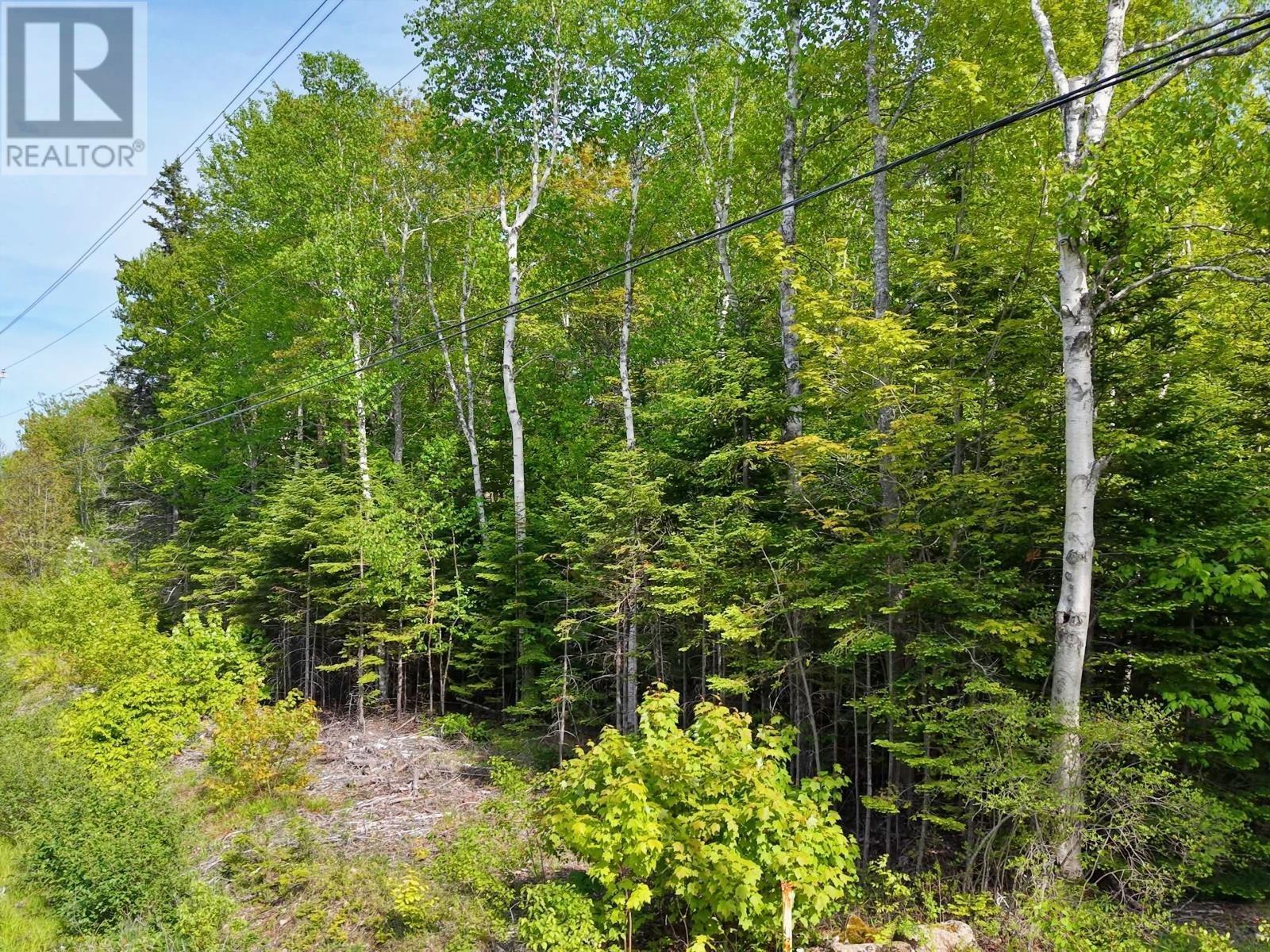 Lot 2, 3, 6 Leitches Creek Rd, Leitches Creek, Nova Scotia  B2A 4A5 - Photo 29 - 202615136
