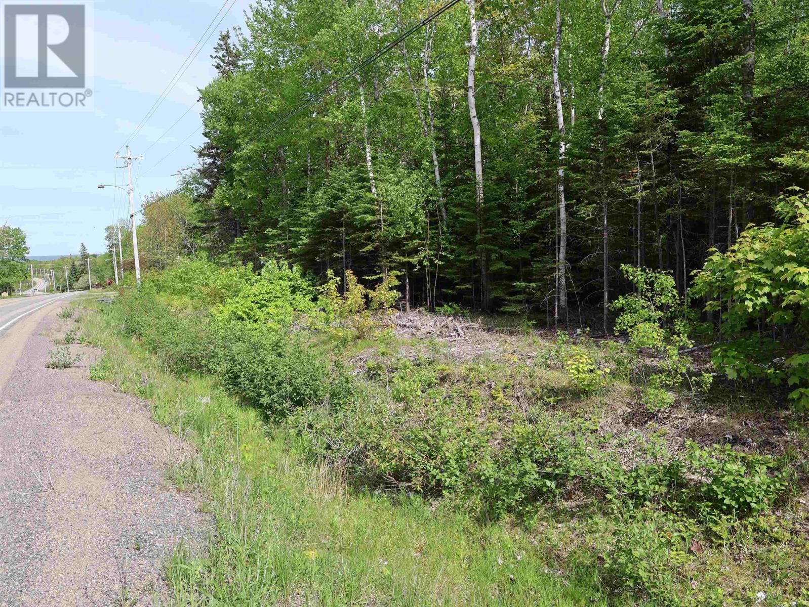 Lot 2, 3, 6 Leitches Creek Rd, Leitches Creek, Nova Scotia  B2A 4A5 - Photo 9 - 202615136