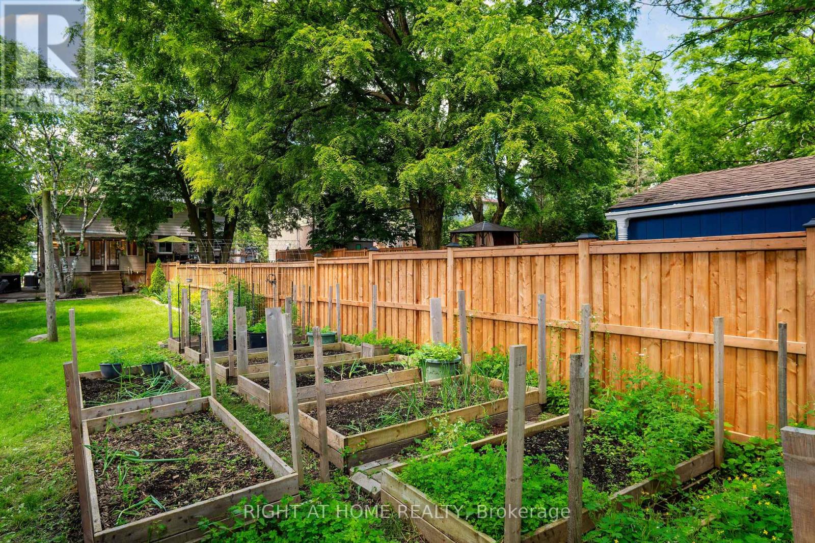 55 Hillview Drive, Newmarket, Ontario  L3Y 4H8 - Photo 40 - N13472708