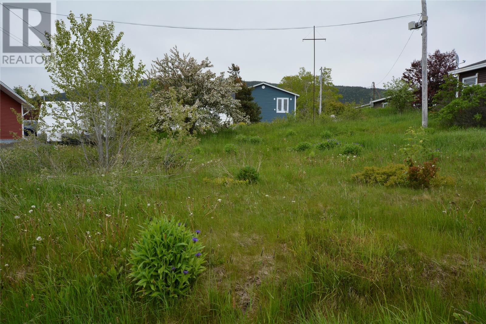 110 Main Road, Heart's Content, Newfoundland & Labrador  A0B 1Z0 - Photo 3 - 1298046