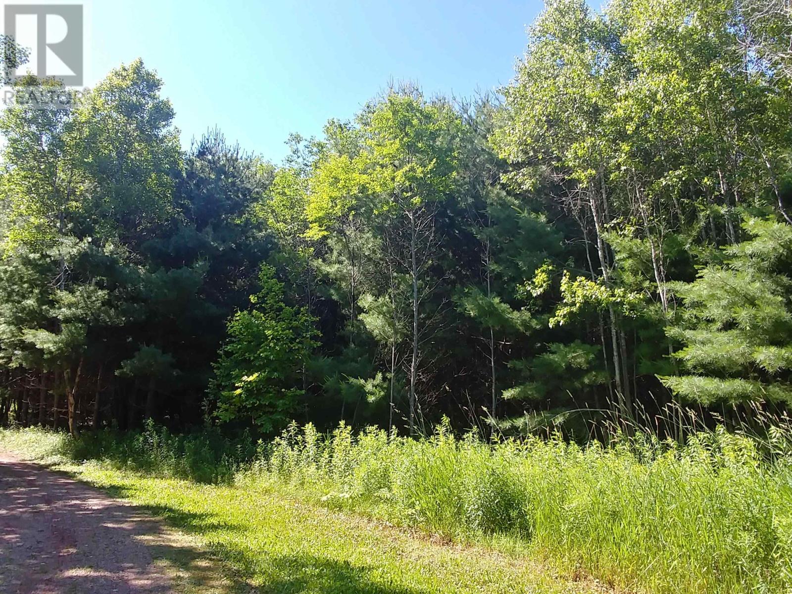 Lot 8 Birch Lane, Georgetown Royalty, Prince Edward Island  C0A 1L0 - Photo 8 - 202615160