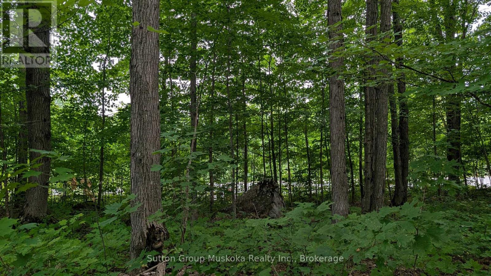 837 ASPDIN ROAD, huntsville (chaffey), Ontario