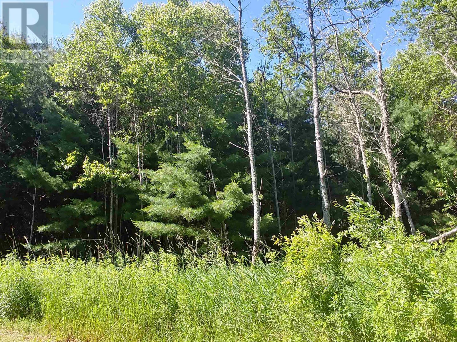 Lot 12 Birch Lane, Georgetown Royalty, Prince Edward Island  C0A 1L0 - Photo 3 - 202615167