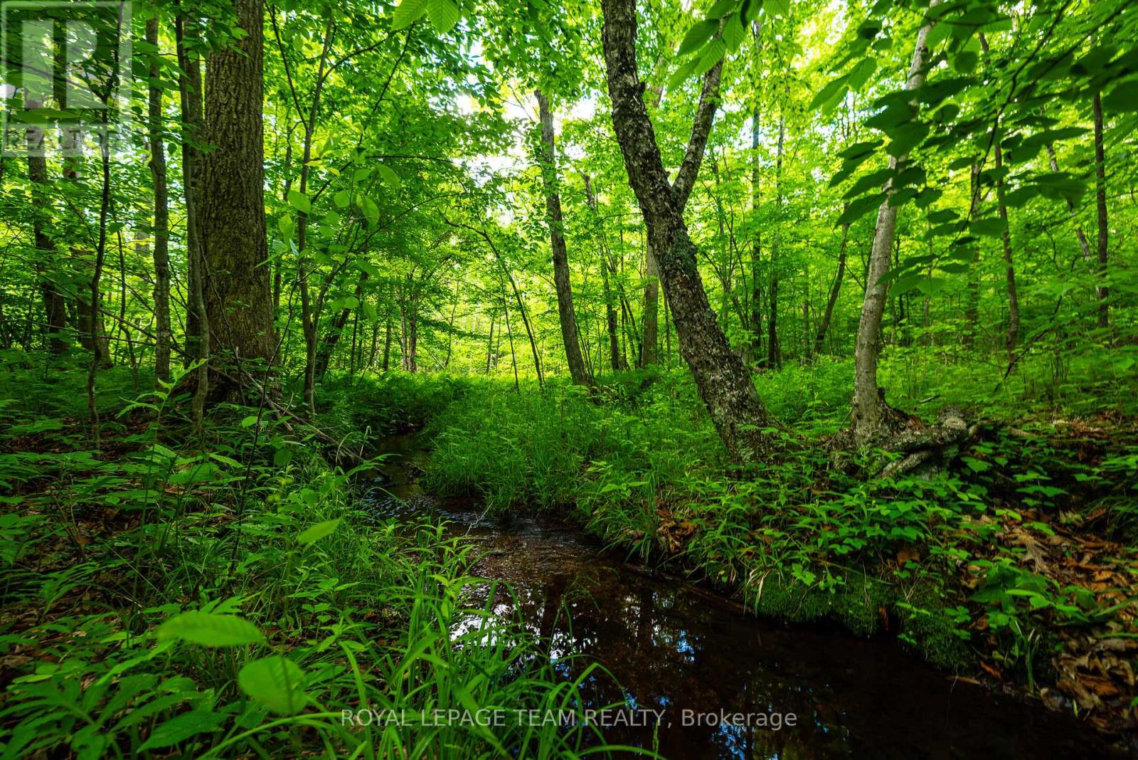Tbd Scott Lane, Rideau Lakes, Ontario  K0G 1V0 - Photo 13 - X13468566