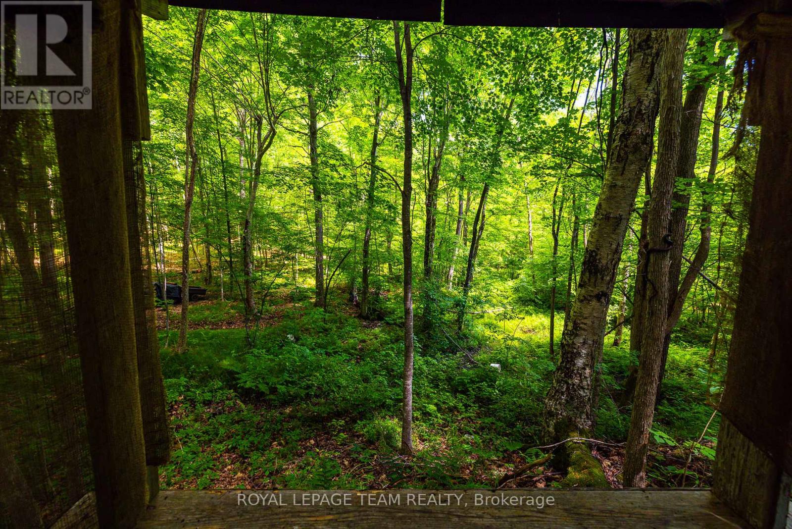 Tbd Scott Lane, Rideau Lakes, Ontario  K0G 1V0 - Photo 12 - X13468566
