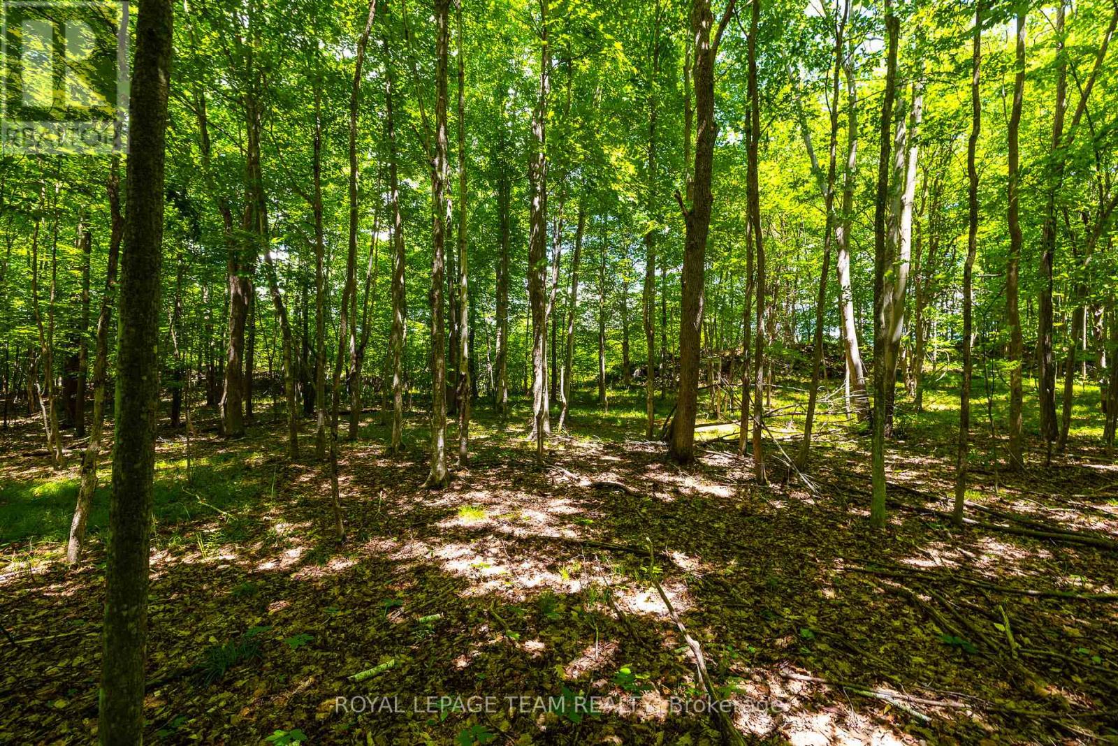 Tbd Scott Lane, Rideau Lakes, Ontario  K0G 1V0 - Photo 17 - X13468566