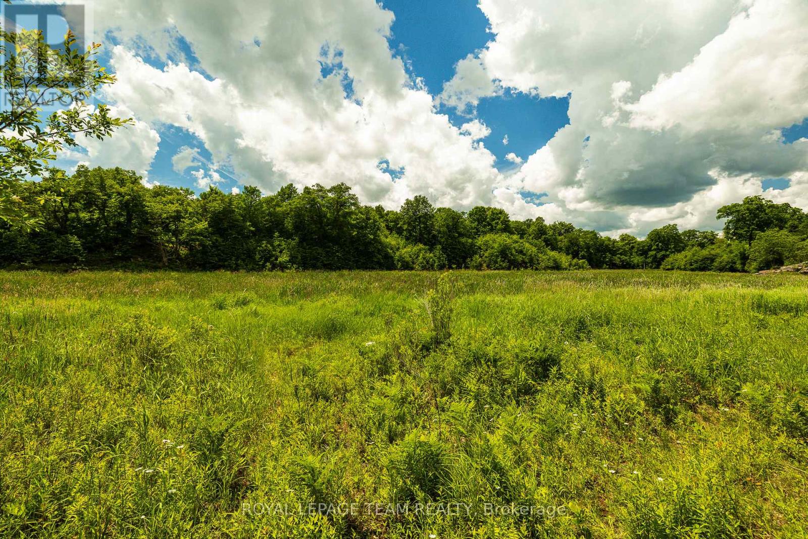 Tbd Scott Lane, Rideau Lakes, Ontario  K0G 1V0 - Photo 15 - X13468566