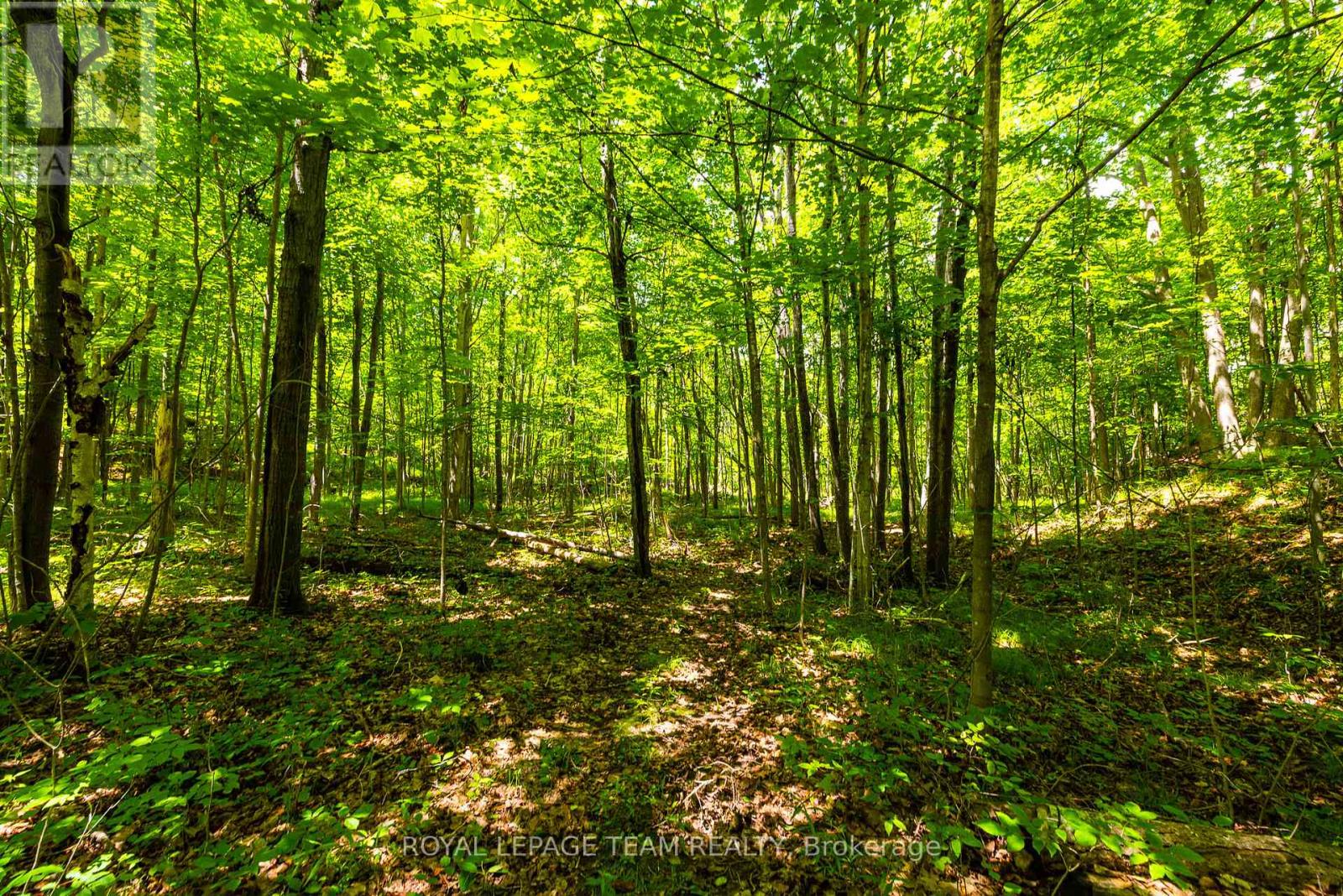 Tbd Scott Lane, Rideau Lakes, Ontario  K0G 1V0 - Photo 10 - X13468566