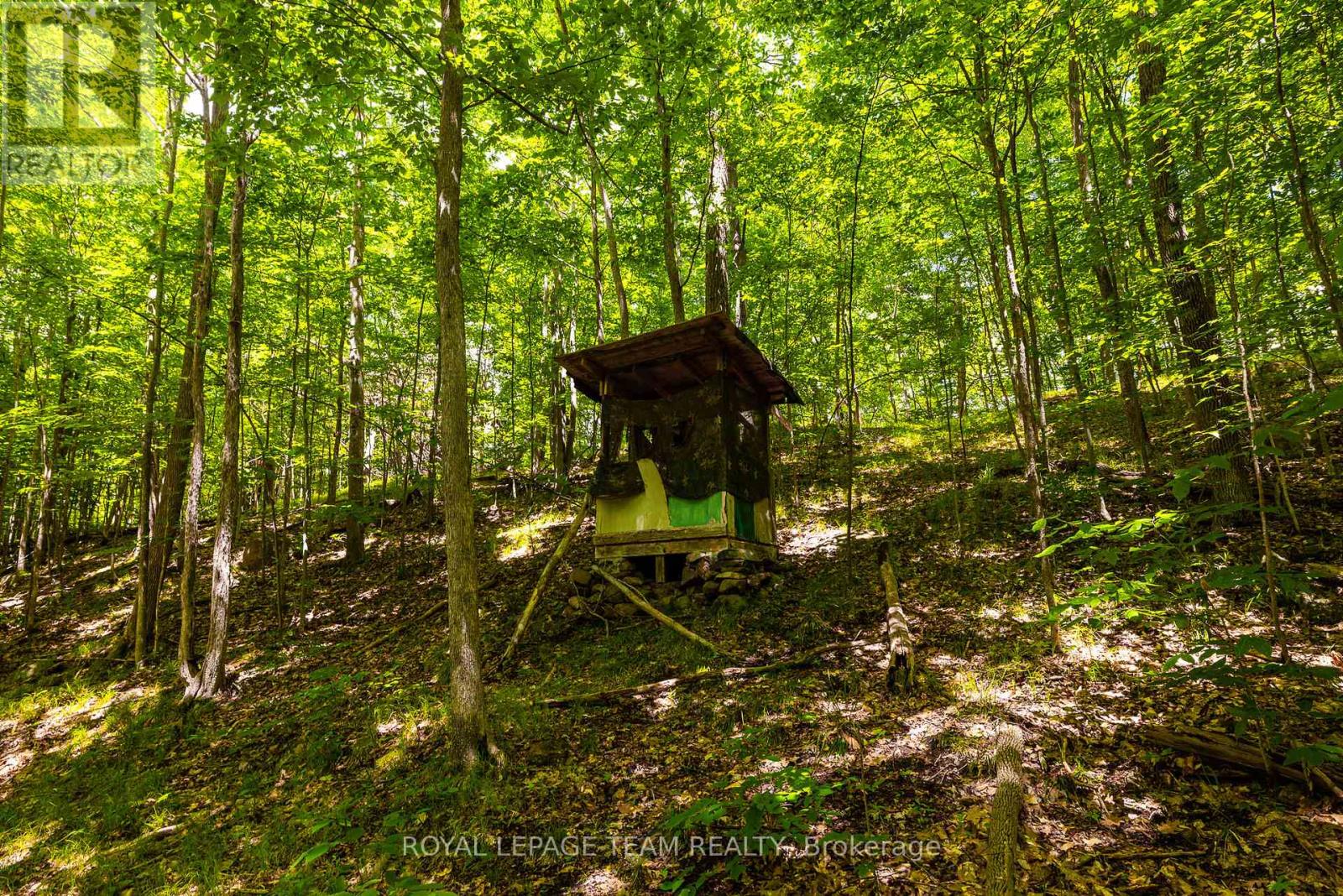 Tbd Scott Lane, Rideau Lakes, Ontario  K0G 1V0 - Photo 18 - X13468566