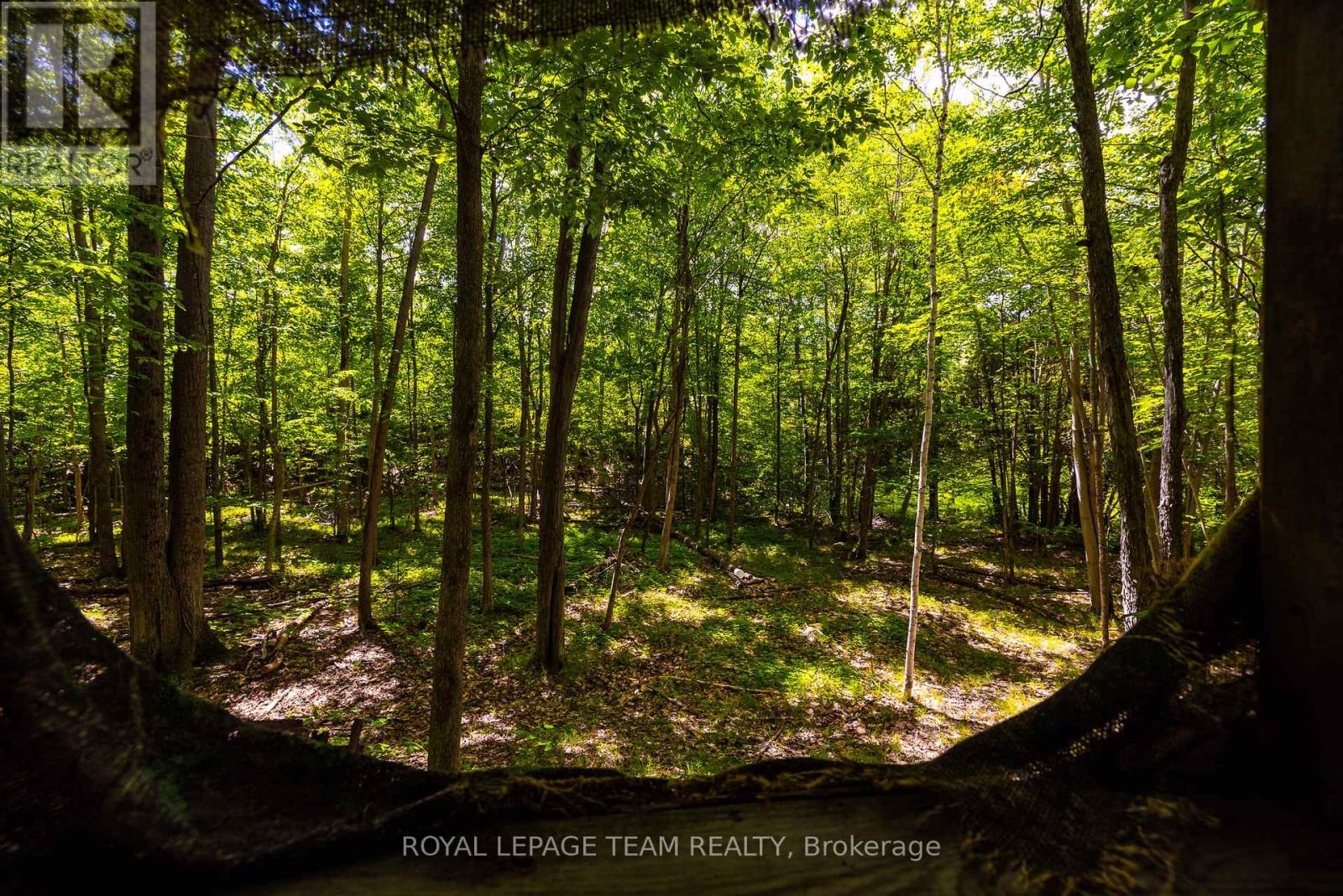 Tbd Scott Lane, Rideau Lakes, Ontario  K0G 1V0 - Photo 19 - X13468566