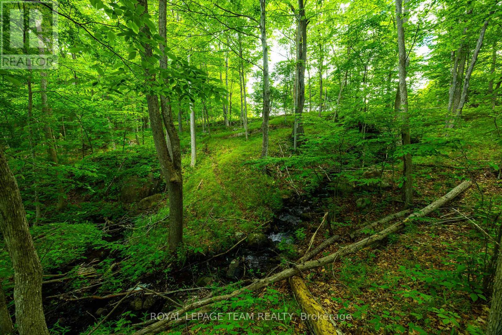 Tbd Scott Lane, Rideau Lakes, Ontario  K0G 1V0 - Photo 14 - X13468566